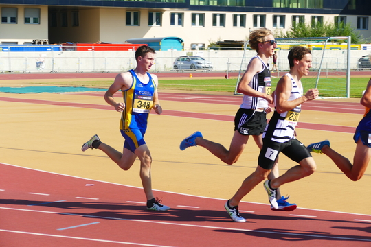 P1010615.jpg
