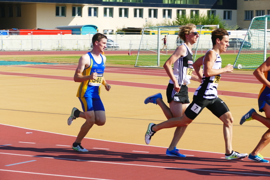 P1010616.jpg