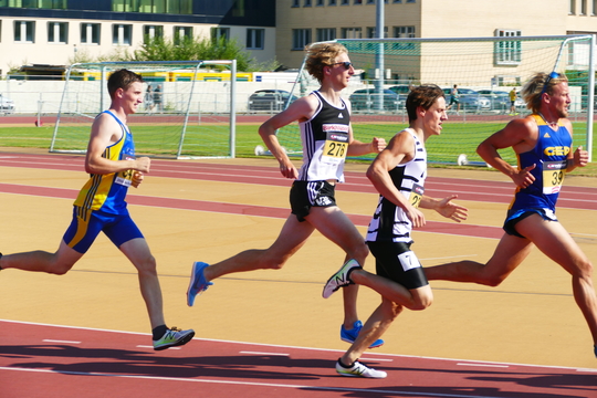 P1010618.jpg