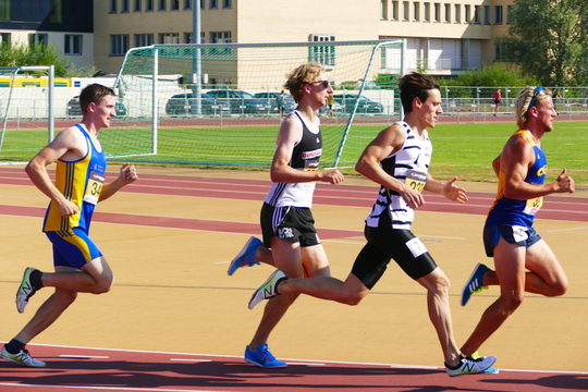 P1010620.jpg