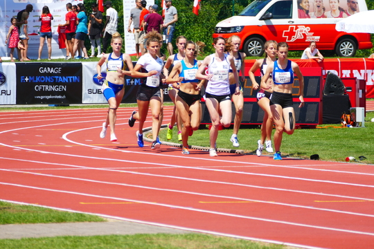 P1010644.jpg