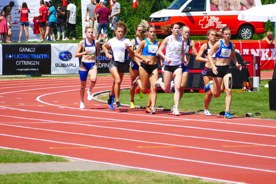 P1010647.jpg