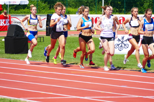 P1010673.jpg