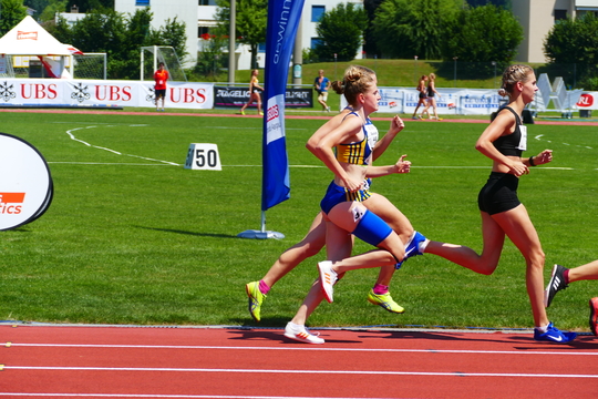 P1010681.jpg