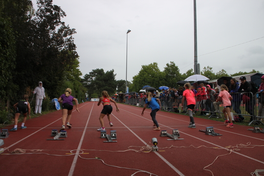 IMG_3162.jpg