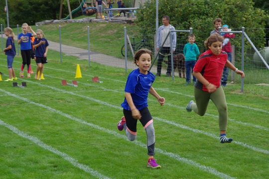 LA_Kreismeisterschaft_Villnachern_2018_32.jpg