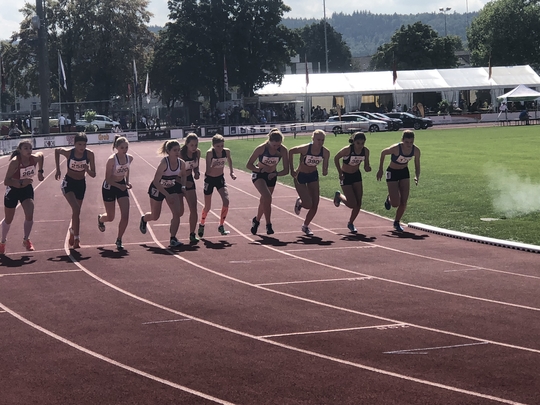 2018-09-08_13.35.59.jpg
