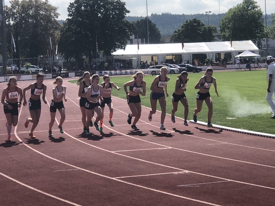 2018-09-08_13.36.00-1.jpg