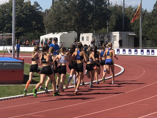 2018-09-08_13.36.05.jpg