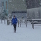 P1020130.jpg