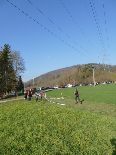 P1020237.jpg