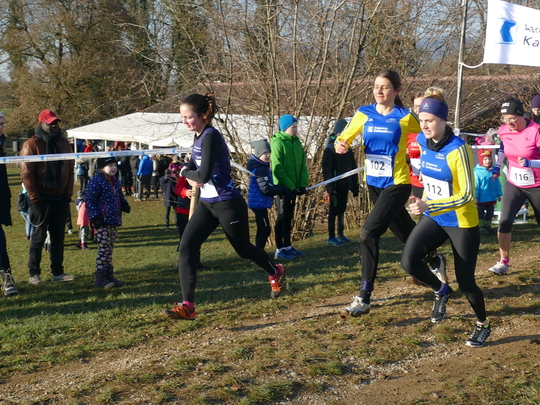 P1020352.jpg