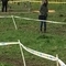 2019-03-10_13.38.58.jpg