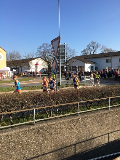 2019-03-23_16.51.39.jpg