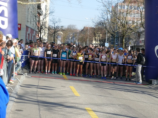 P1020824.jpg