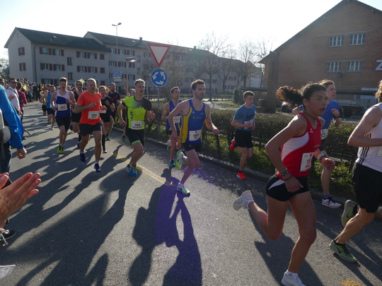 P1020875.jpg
