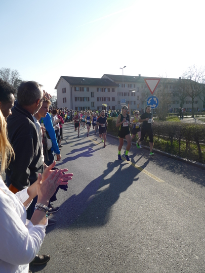 P1020878.jpg