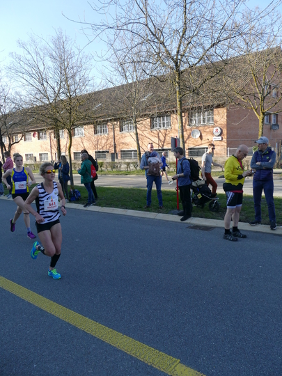 P1020929.jpg