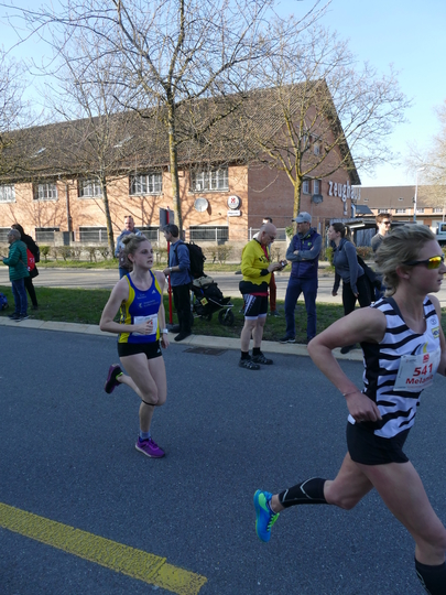 P1020934.jpg