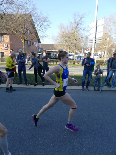 P1020937.jpg