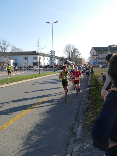 P1020962.jpg