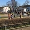 2019-03-23_16.51.39.jpg