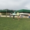 2019-04-18_17.46.21-1.jpg