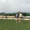 2019-04-18_17.46.26.jpg
