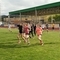 IMG_20190417_100655.jpg