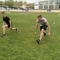 IMG_20190417_160428.jpg