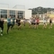 IMG_20190418_160535.jpg