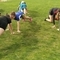IMG_20190418_172155.jpg