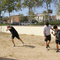 _DSC0189.jpg