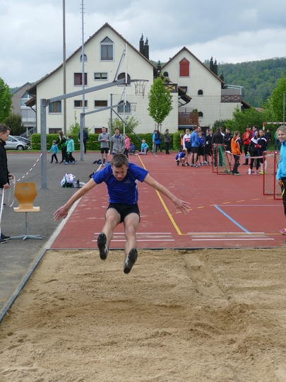 P1030174.jpg