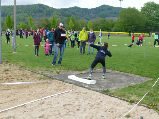 P1030179.jpg