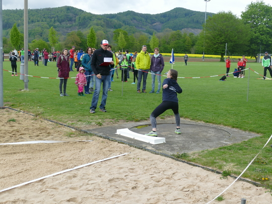 P1030181.jpg