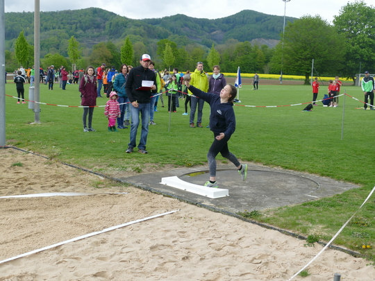 P1030184.jpg