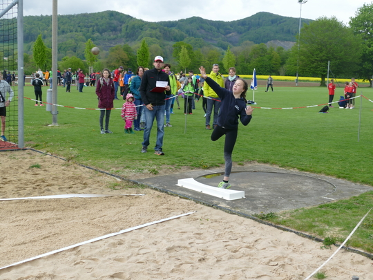 P1030187.jpg