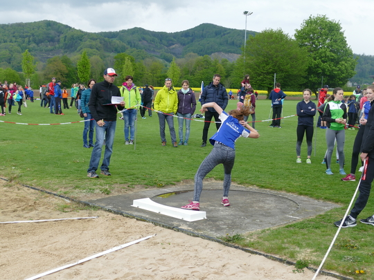 P1030203.jpg