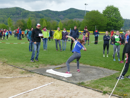P1030204.jpg