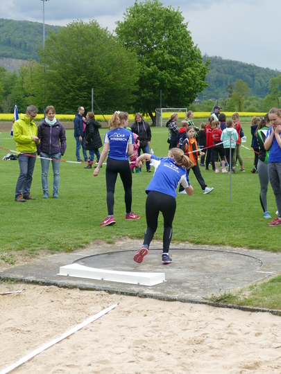 P1030218.jpg