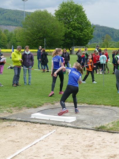 P1030220.jpg