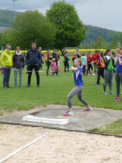 P1030228.jpg