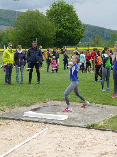 P1030229.jpg