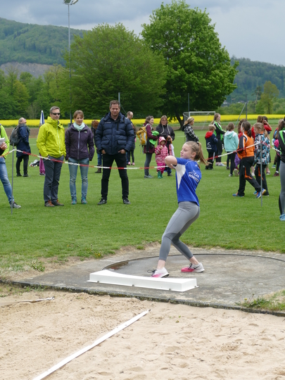 P1030235.jpg
