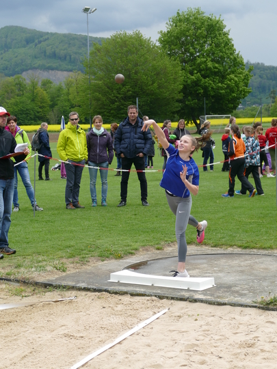 P1030242.jpg