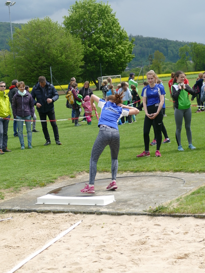 P1030246.jpg