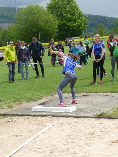P1030248.jpg