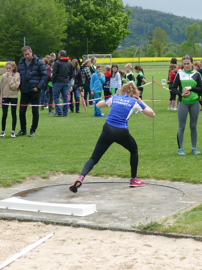 P1030254.jpg