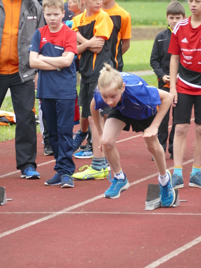 P1030281.jpg